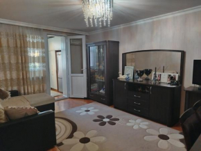 Central Cheap Apartment